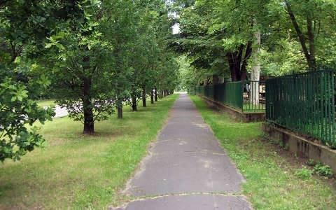 Nagyerdő Debrecen