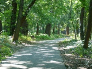 19064273296_fde1728684_z